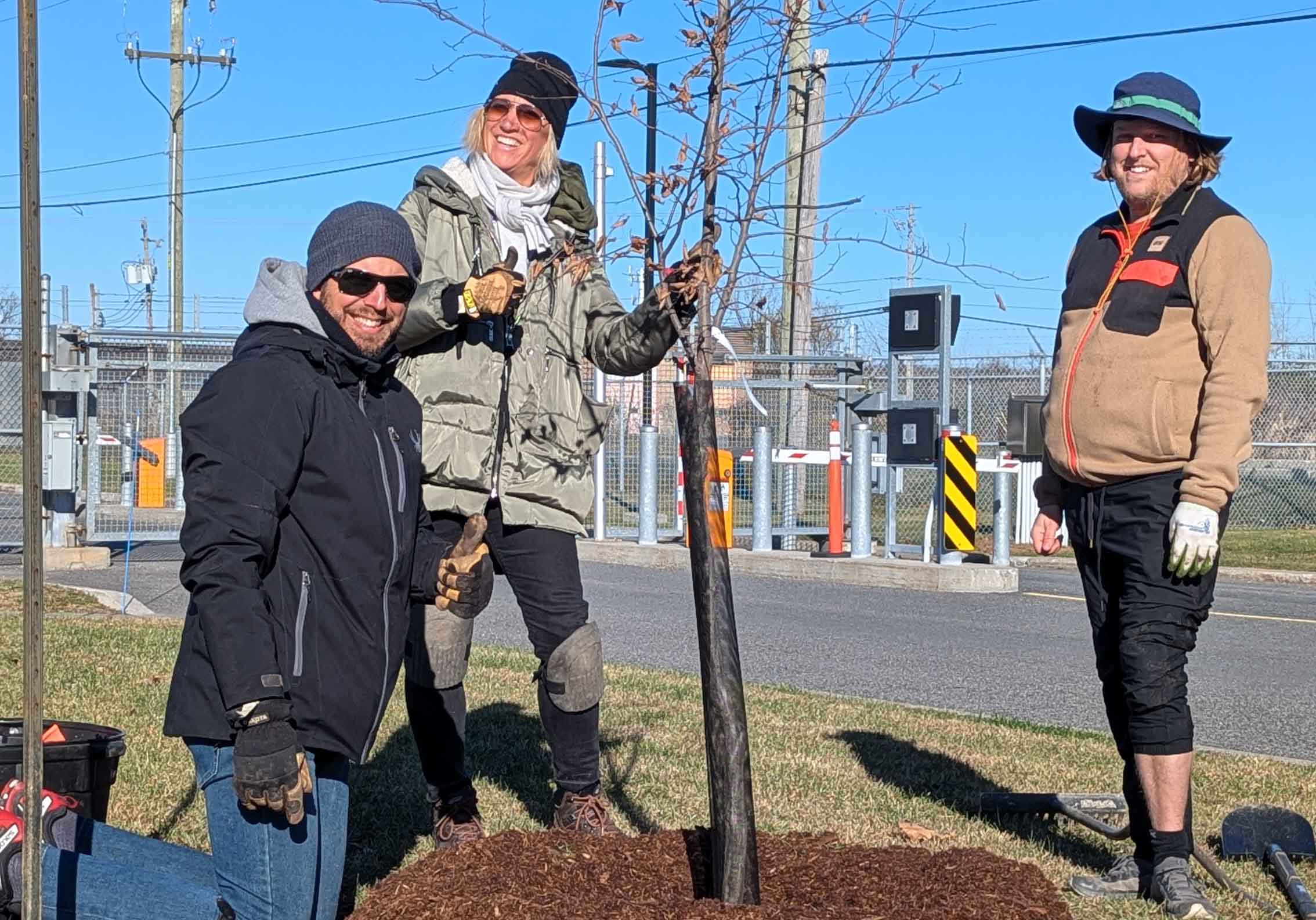 Three people pose next to a newly planted tree on a sunny day.